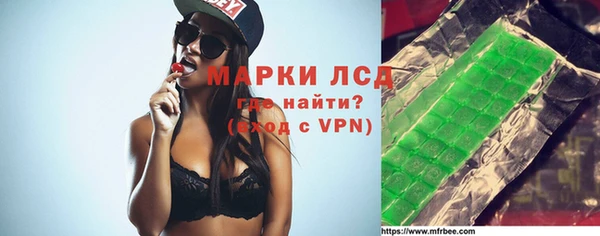 apvp Каменка