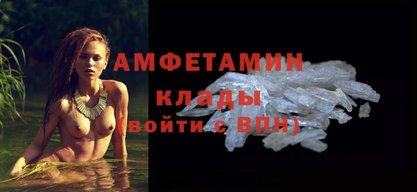 apvp Каменка