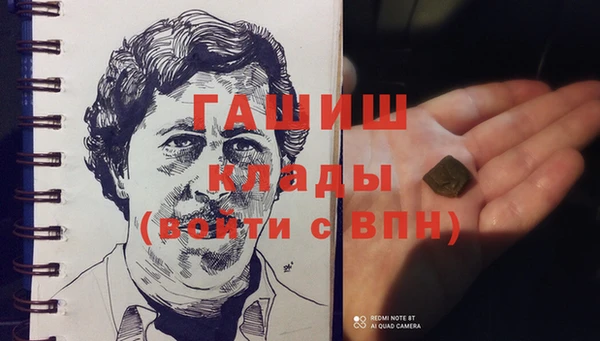 apvp Каменка