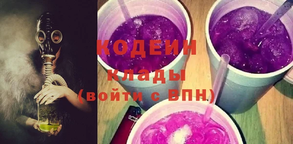 apvp Каменка