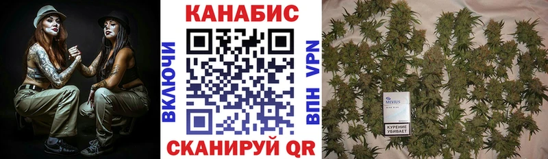 ссылка на мегу как зайти  купить закладку  Новошахтинск  Шишки марихуана тримм 